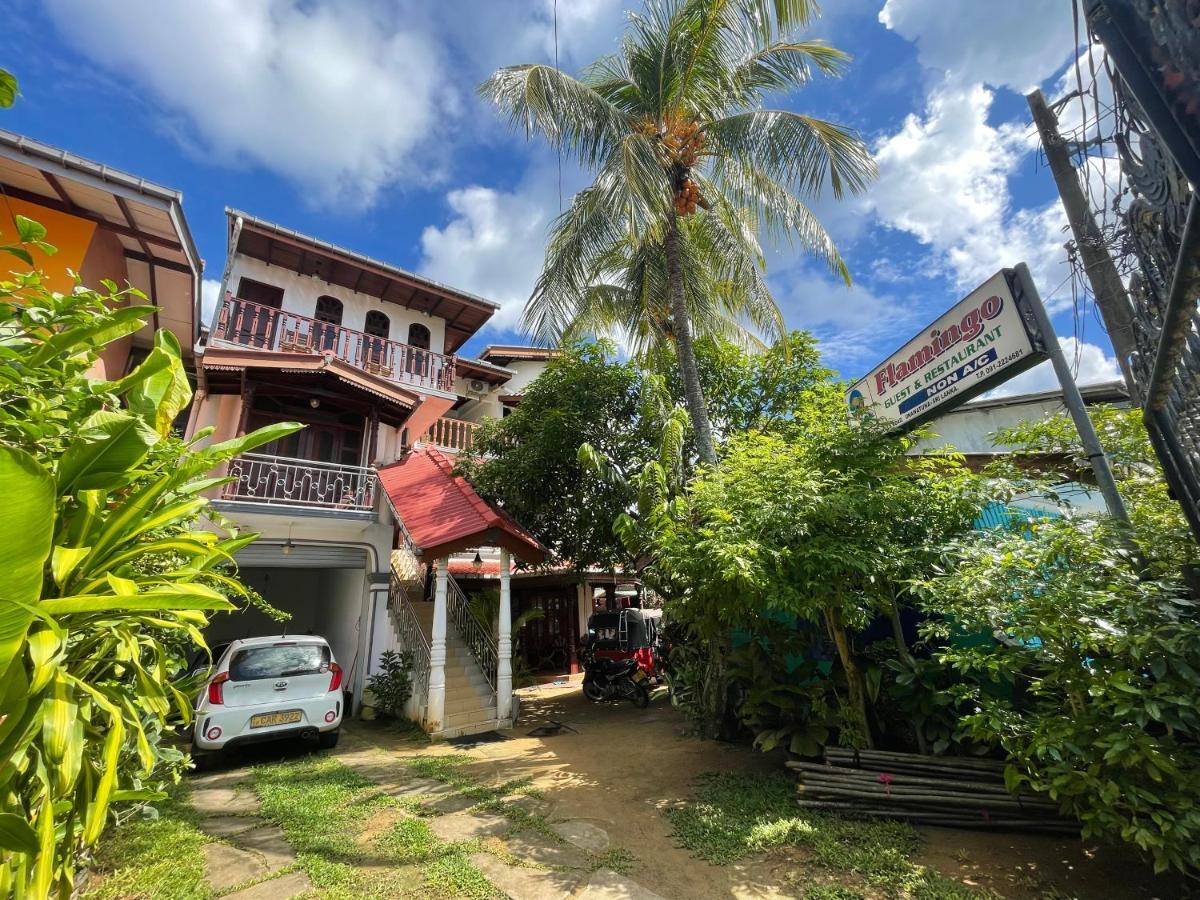 Flamingo Guest House Unawatuna Eksteriør bilde